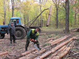 Под руководством В.Б Ерузанова тракторист А.И. Власов и А.П. Куличков заготовят в этом году 800 кубометров древесины для населения маленьких деревушек