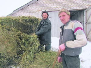 Г.Н. Веревочкин и  В.Н. Сурнин обеспечивают кормами  коров и овец 